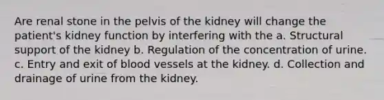 Are renal stone in the pelvis of the kidney will change the patient's kidney function by interfering with the a. Structural support of the kidney b. Regulation of the concentration of urine. c. Entry and exit of blood vessels at the kidney. d. Collection and drainage of urine from the kidney.