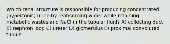 Which renal structure is responsible for producing concentrated (hypertonic) urine by reabsorbing water while retaining metabolic wastes and NaCl in the tubular fluid? A) collecting duct B) nephron loop C) ureter D) glomerulus E) proximal convoluted tubule