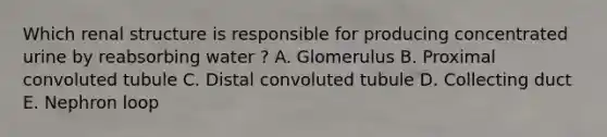 Which renal structure is responsible for producing concentrated urine by reabsorbing water ? A. Glomerulus B. Proximal convoluted tubule C. Distal convoluted tubule D. Collecting duct E. Nephron loop