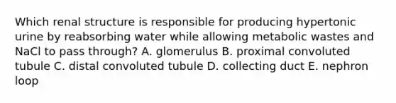 Which renal structure is responsible for producing hypertonic urine by reabsorbing water while allowing metabolic wastes and NaCl to pass through? A. glomerulus B. proximal convoluted tubule C. distal convoluted tubule D. collecting duct E. nephron loop