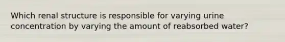 Which renal structure is responsible for varying urine concentration by varying the amount of reabsorbed water?