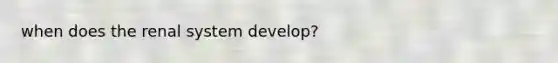 when does the renal system develop?