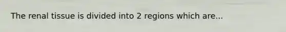 The renal tissue is divided into 2 regions which are...