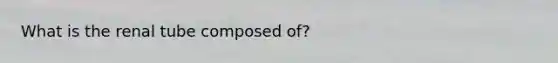 What is the renal tube composed of?