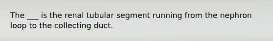 The ___ is the renal tubular segment running from the nephron loop to the collecting duct.