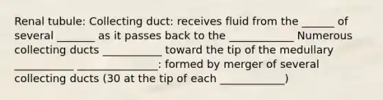 Renal tubule: Collecting duct: receives fluid from the ______ of several _______ as it passes back to the ____________ Numerous collecting ducts ___________ toward the tip of the medullary ___________ _______________: formed by merger of several collecting ducts (30 at the tip of each ____________)