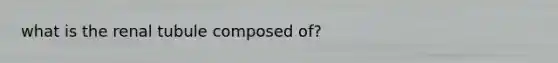 what is the renal tubule composed of?