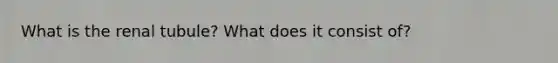 What is the renal tubule? What does it consist of?