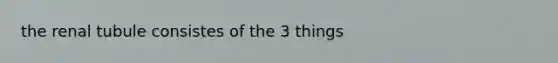 the renal tubule consistes of the 3 things