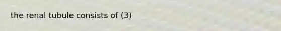 the renal tubule consists of (3)