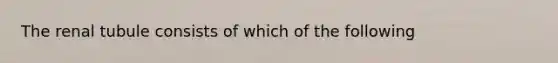 The renal tubule consists of which of the following