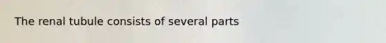 The renal tubule consists of several parts