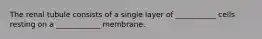 The renal tubule consists of a single layer of ___________ cells resting on a ____________ membrane.