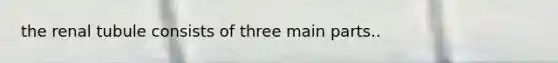 the renal tubule consists of three main parts..