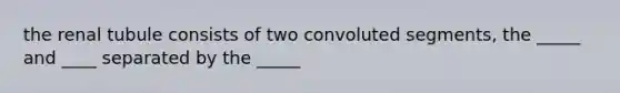 the renal tubule consists of two convoluted segments, the _____ and ____ separated by the _____