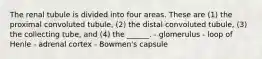 The renal tubule is divided into four areas. These are (1) the proximal convoluted tubule, (2) the distal convoluted tubule, (3) the collecting tube, and (4) the ______. - glomerulus - loop of Henle - adrenal cortex - Bowmen's capsule