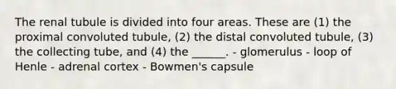 The renal tubule is divided into four areas. These are (1) the proximal convoluted tubule, (2) the distal convoluted tubule, (3) the collecting tube, and (4) the ______. - glomerulus - loop of Henle - adrenal cortex - Bowmen's capsule