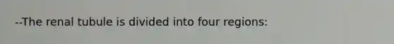 --The renal tubule is divided into four regions: