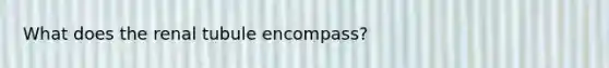 What does the renal tubule encompass?