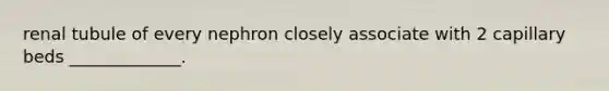 renal tubule of every nephron closely associate with 2 capillary beds _____________.