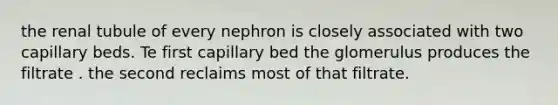 the renal tubule of every nephron is closely associated with two capillary beds. Te first capillary bed the glomerulus produces the filtrate . the second reclaims most of that filtrate.