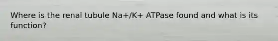 Where is the renal tubule Na+/K+ ATPase found and what is its function?