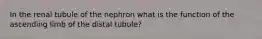 In the renal tubule of the nephron what is the function of the ascending limb of the distal tubule?