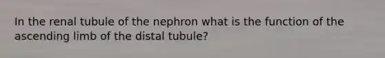 In the renal tubule of the nephron what is the function of the ascending limb of the distal tubule?