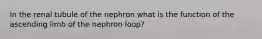 In the renal tubule of the nephron what is the function of the ascending limb of the nephron loop?