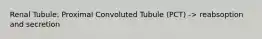 Renal Tubule: Proximal Convoluted Tubule (PCT) -> reabsoption and secretion