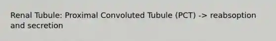 Renal Tubule: Proximal Convoluted Tubule (PCT) -> reabsoption and secretion