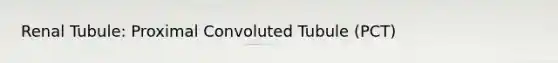 Renal Tubule: Proximal Convoluted Tubule (PCT)