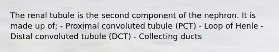 The renal tubule is the second component of the nephron. It is made up of; - Proximal convoluted tubule (PCT) - Loop of Henle - Distal convoluted tubule (DCT) - Collecting ducts