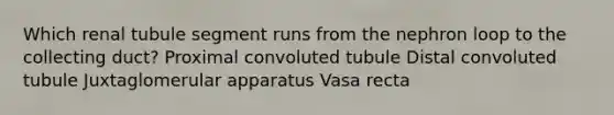 Which renal tubule segment runs from the nephron loop to the collecting duct? Proximal convoluted tubule Distal convoluted tubule Juxtaglomerular apparatus Vasa recta