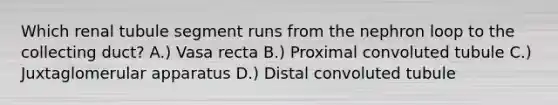 Which renal tubule segment runs from the nephron loop to the collecting duct? A.) Vasa recta B.) Proximal convoluted tubule C.) Juxtaglomerular apparatus D.) Distal convoluted tubule