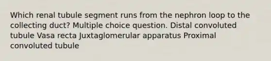 Which renal tubule segment runs from the nephron loop to the collecting duct? Multiple choice question. Distal convoluted tubule Vasa recta Juxtaglomerular apparatus Proximal convoluted tubule