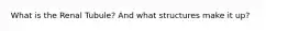What is the Renal Tubule? And what structures make it up?