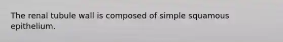 The renal tubule wall is composed of simple squamous epithelium.