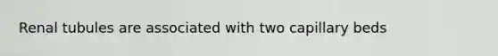 Renal tubules are associated with two capillary beds