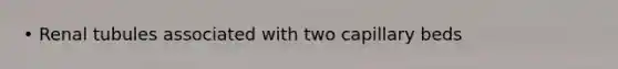 • Renal tubules associated with two capillary beds