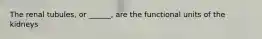 The renal tubules, or ______, are the functional units of the kidneys