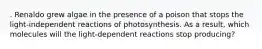 . Renaldo grew algae in the presence of a poison that stops the light-independent reactions of photosynthesis. As a result, which molecules will the light-dependent reactions stop producing?