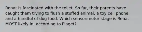 Renat is fascinated with the toilet. So far, their parents have caught them trying to flush a stuffed animal, a toy cell phone, and a handful of dog food. Which sensorimotor stage is Renat MOST likely in, according to Piaget?