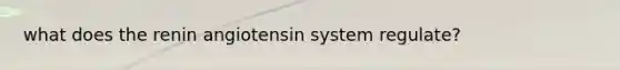 what does the renin angiotensin system regulate?