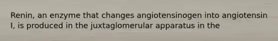 Renin, an enzyme that changes angiotensinogen into angiotensin I, is produced in the juxtaglomerular apparatus in the