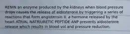 RENIN an enzyme produced by the kidneys when blood pressure drops causes the release of aldosterone by triggering a series of reactions that form angiotensin II. a hormone released by the heart ATRIAL NATRIURETIC PEPTIDE ANP prevents aldosterone release which results in blood vol and pressure reduction.