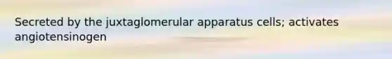 Secreted by the juxtaglomerular apparatus cells; activates angiotensinogen