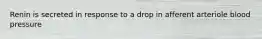 Renin is secreted in response to a drop in afferent arteriole blood pressure