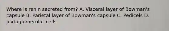 Where is renin secreted from? A. Visceral layer of Bowman's capsule B. Parietal layer of Bowman's capsule C. Pedicels D. Juxtaglomerular cells