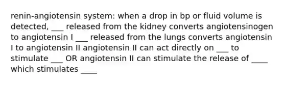 renin-angiotensin system: when a drop in bp or fluid volume is detected, ___ released from the kidney converts angiotensinogen to angiotensin I ___ released from the lungs converts angiotensin I to angiotensin II angiotensin II can act directly on ___ to stimulate ___ OR angiotensin II can stimulate the release of ____ which stimulates ____